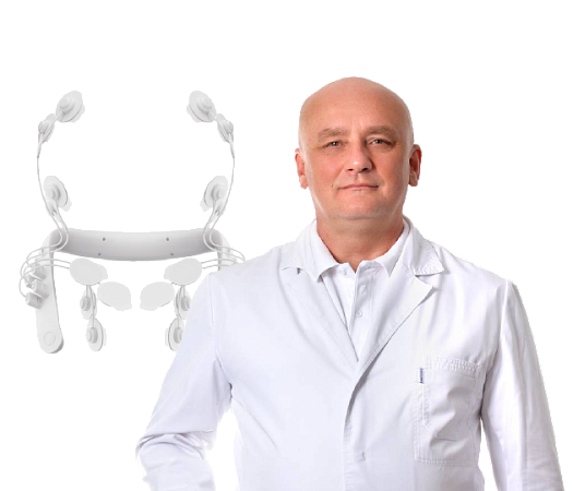 Гнатология (ВНЧС)