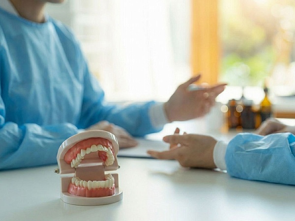 Гнатология (ВНЧС)